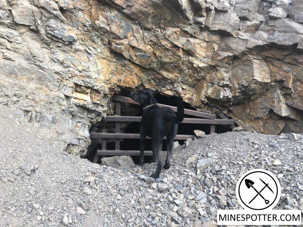 Memorial Silver Prospect – Hailey, ID