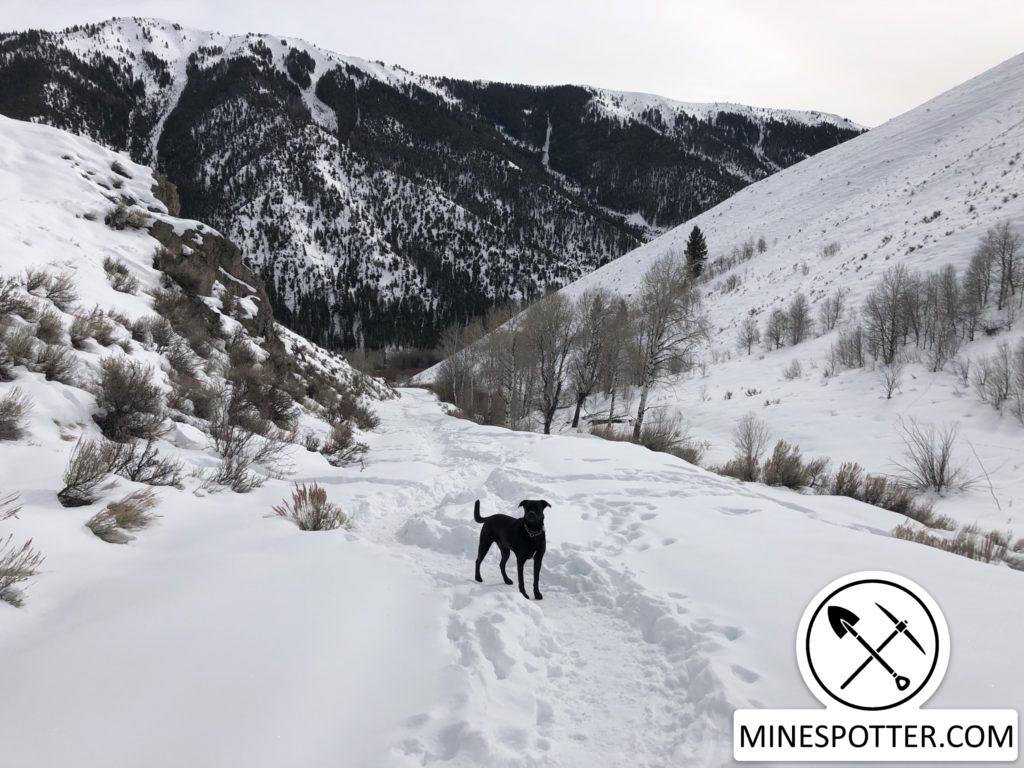 Unnamed Lead Mine – Triumph, ID