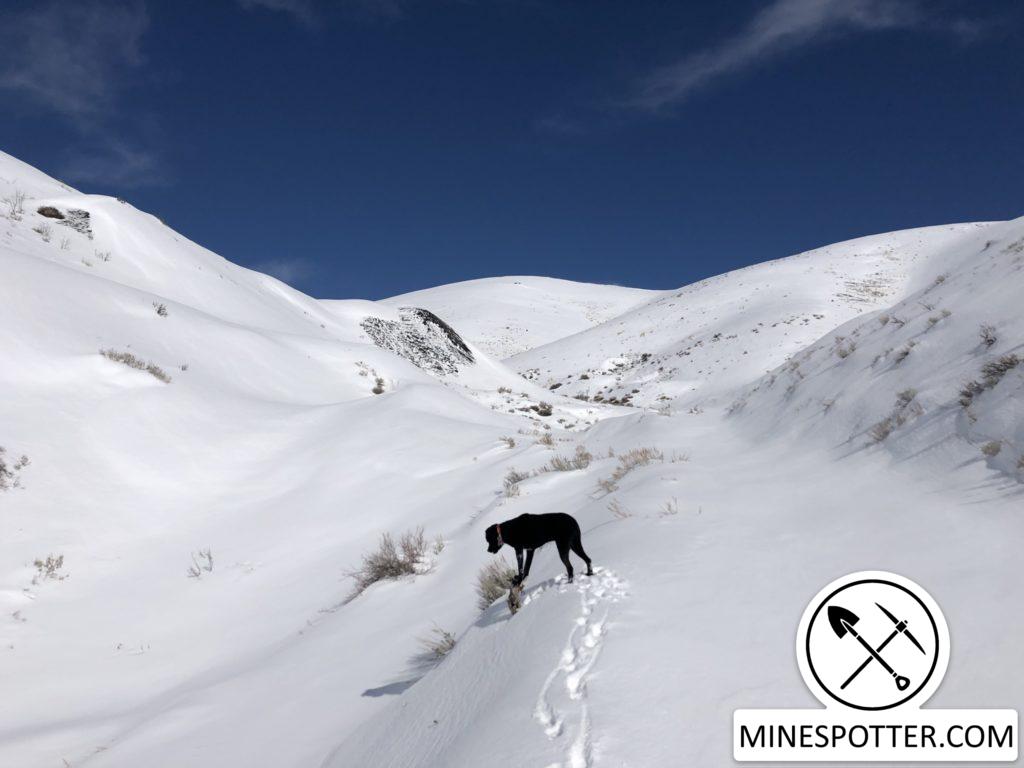 Arizona Group Mine – Hailey, ID