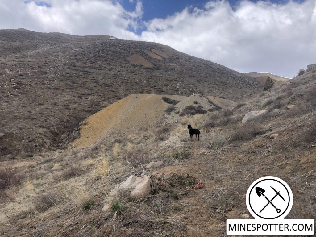 Democrat Mine – Hailey, ID