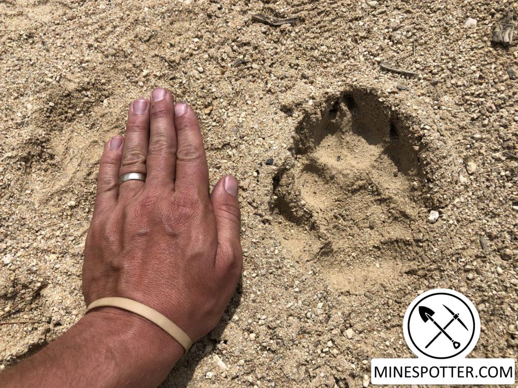 Mountain View Group Mine – Stanley, ID